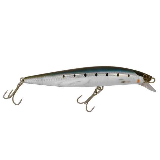 B-sardine.jpg