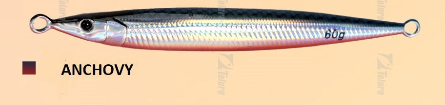 anchovy.jpg