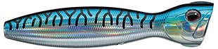 bluemac.jpg