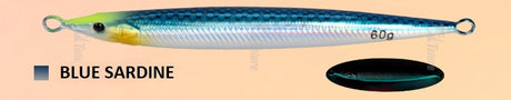 Blue-Sardine2.jpg