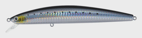 Laser-Sardine.webp