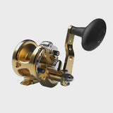 SXJ-G2-Gold.webp