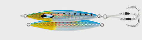 Sardine.webp