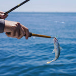 Aftco Bait Shaker — image 3