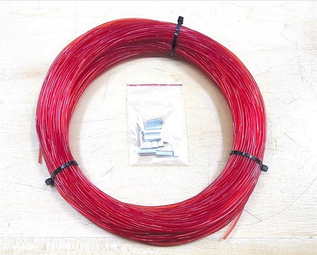 red1.jpg