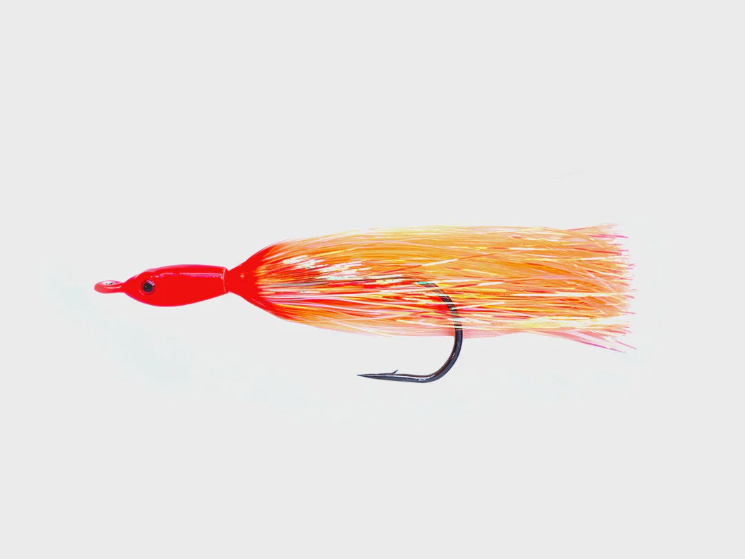 salmon.webp
