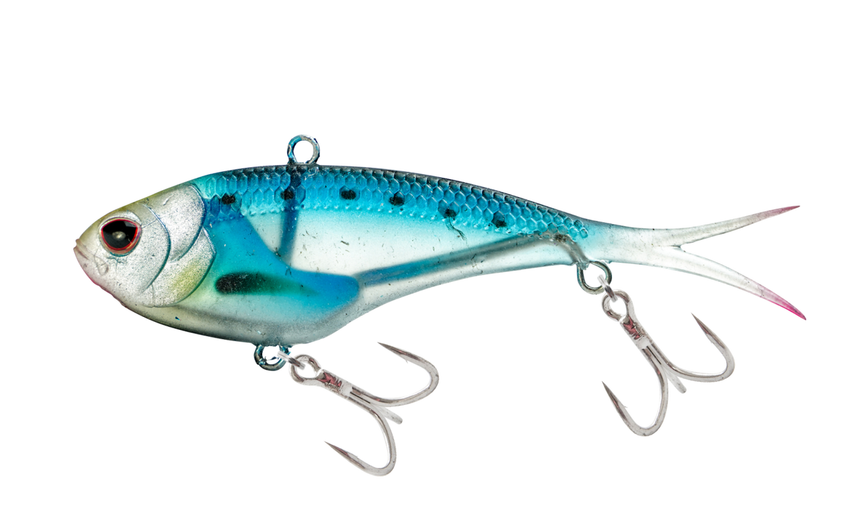 sardine.png