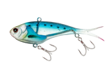 sardine.png