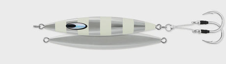 zebra-gl.webp